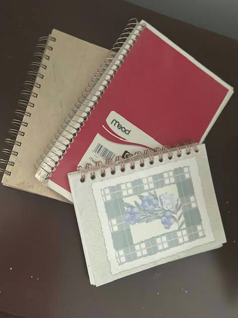 Three spiral notebooks, one kept for each of Nicole&rsquo;s children
