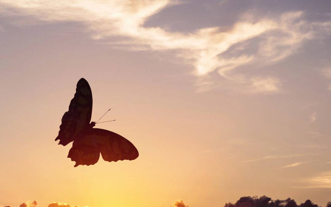 Why I Chose to Become a Death Doula
